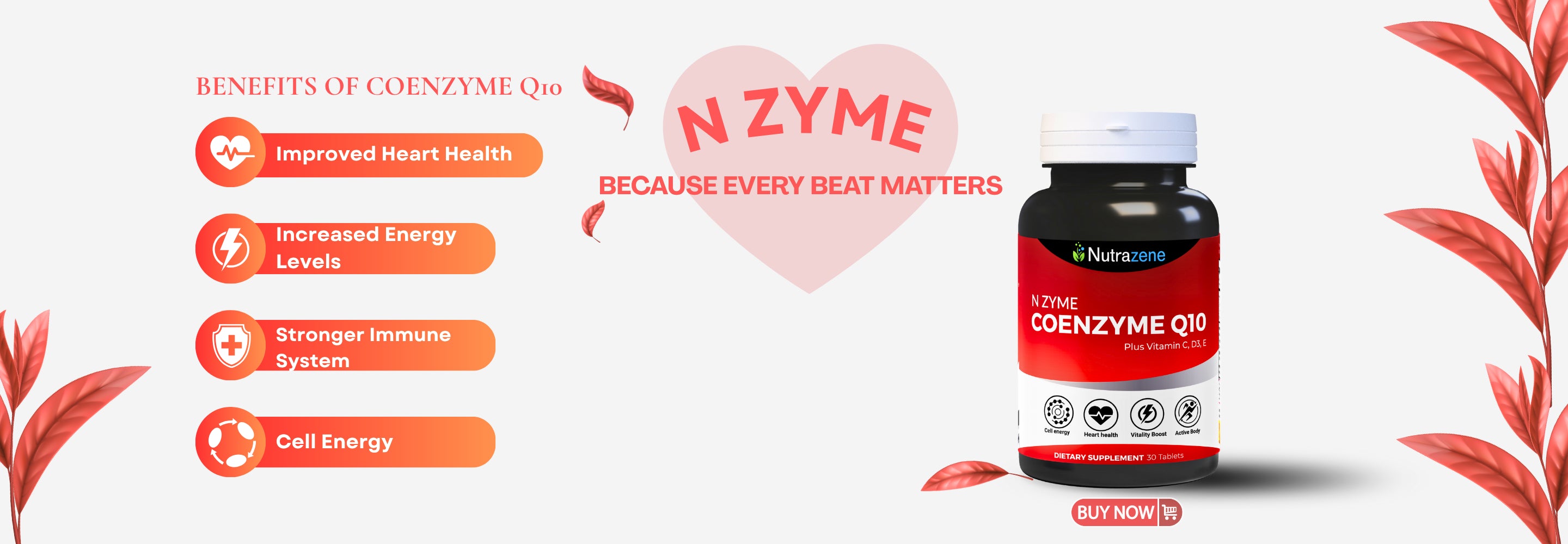 Nutrazene N ZYME digestion enzyme supplement for bloating relief and gut health improvement